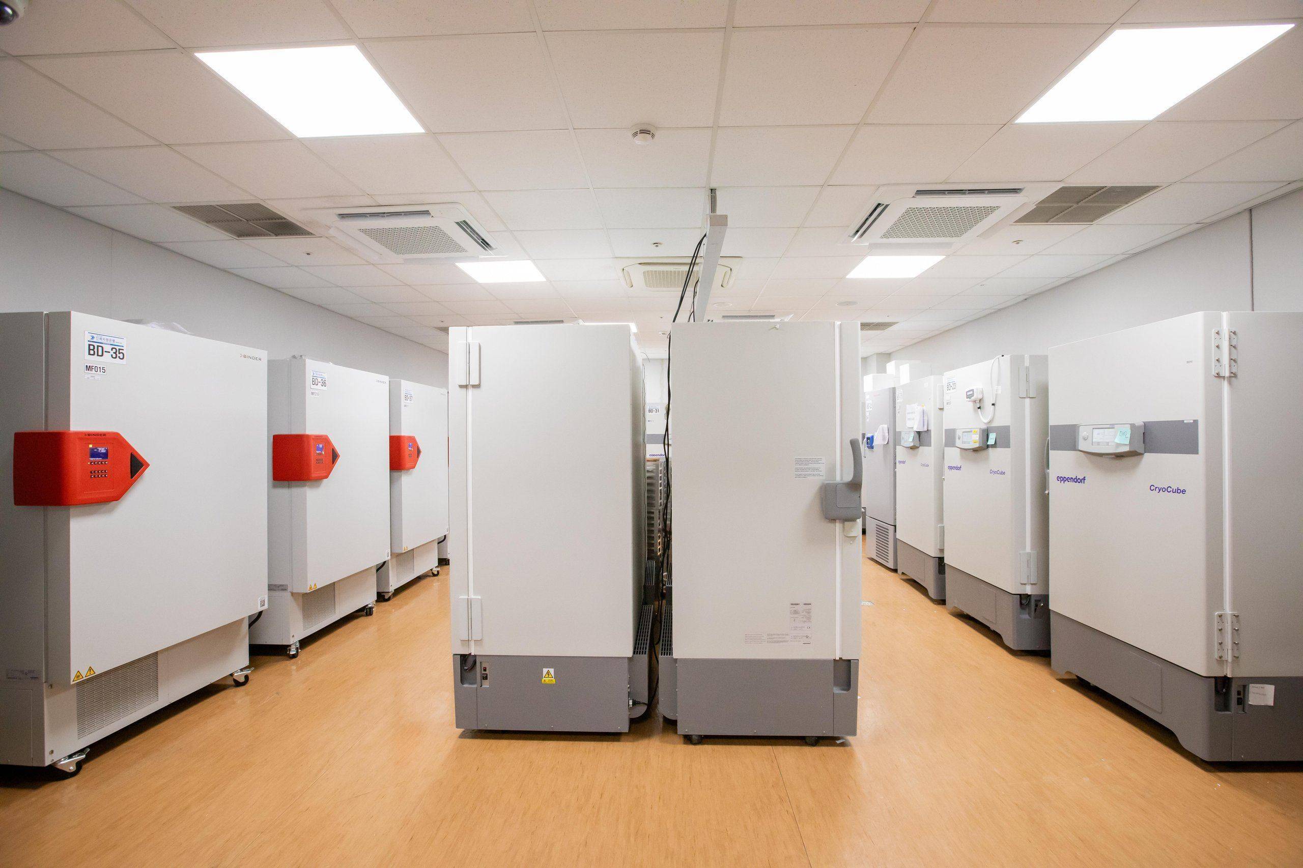 Interior view of the ultra-low-temperature freezer room
