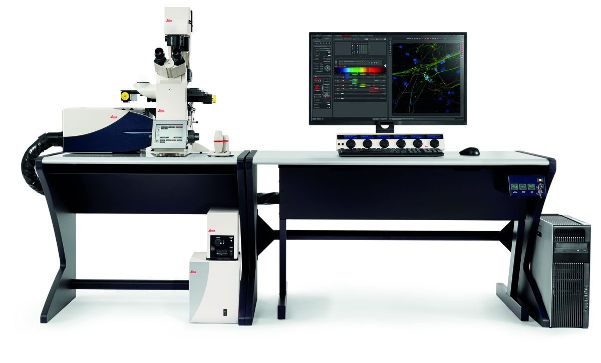 Leica TCS SP8 inverted confocal microscope with analysis workstation
