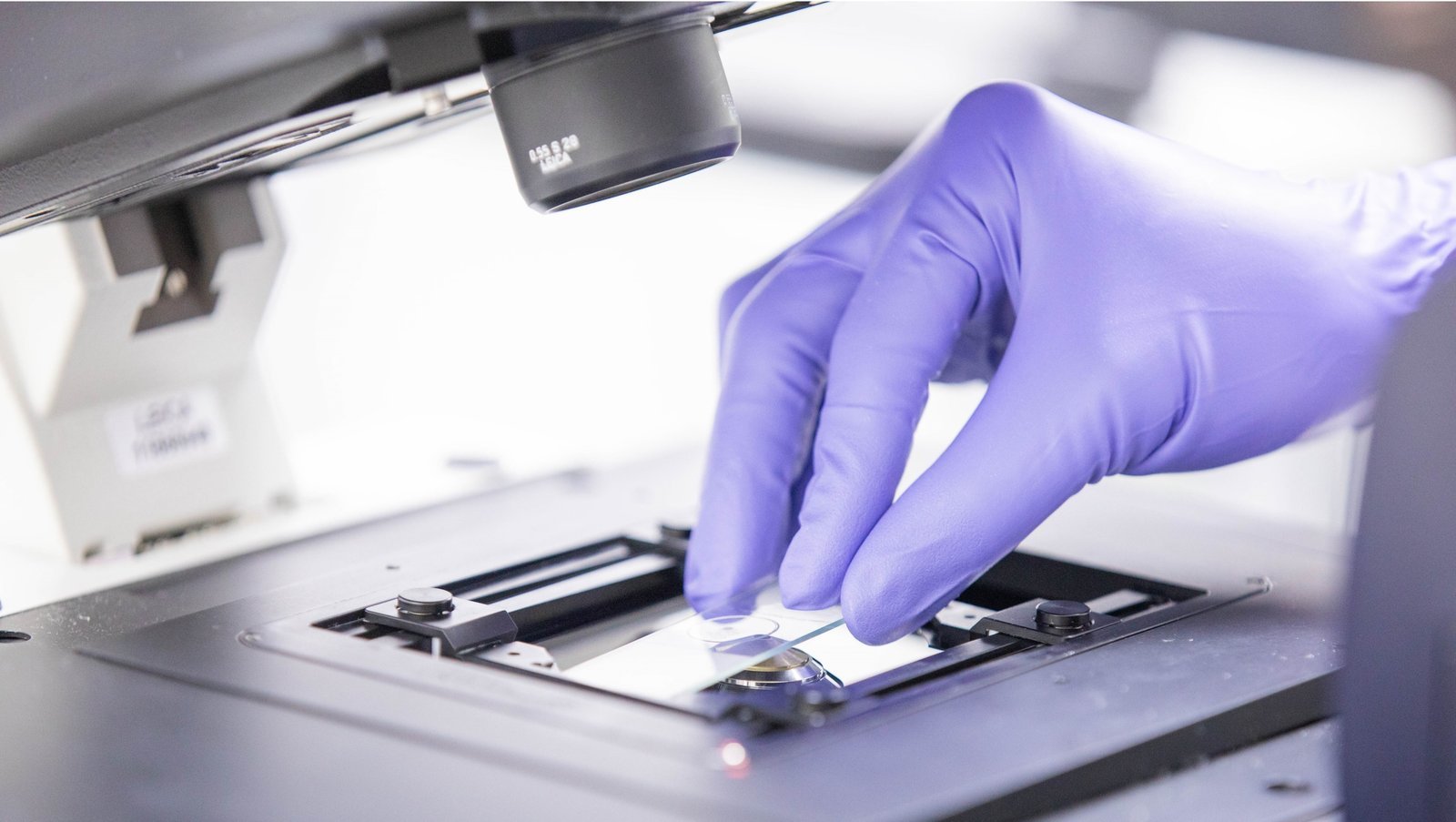 Researcher placing a specimen on the confocal microscope slide holder