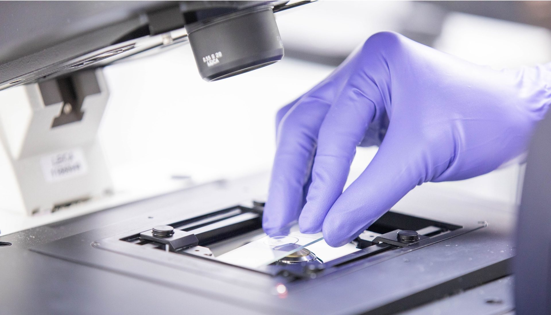 Confocal Microscopy Laboratory - a researcher's hands placing a slide on the fluorescence microscope stage
