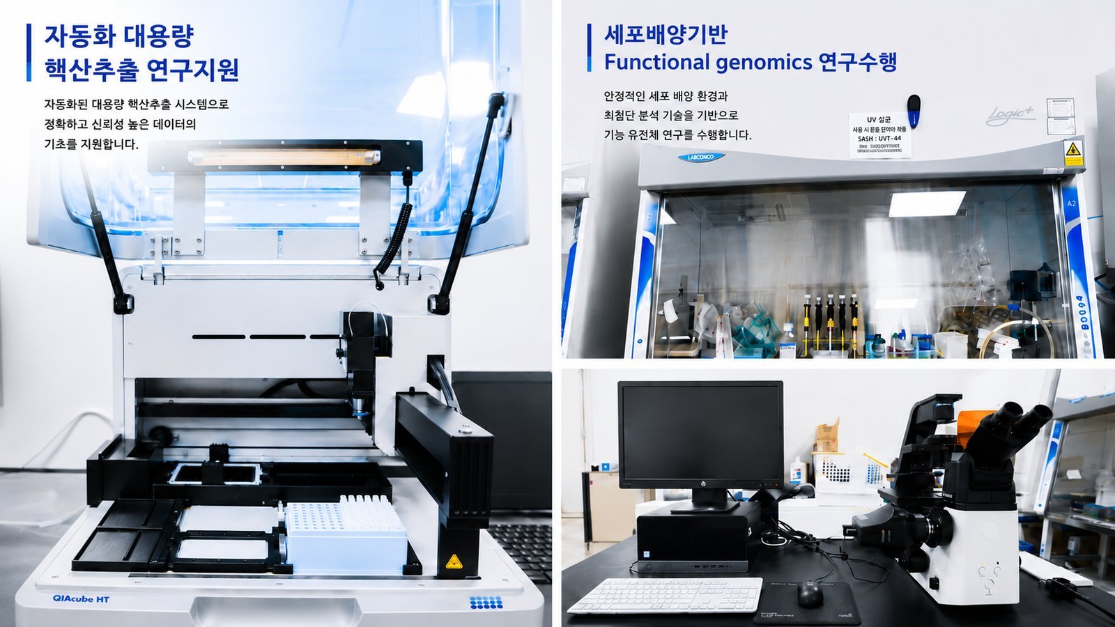 QIAcube HT automated high-throughput nucleic acid extraction and a cell-culture-based functional genomics environment