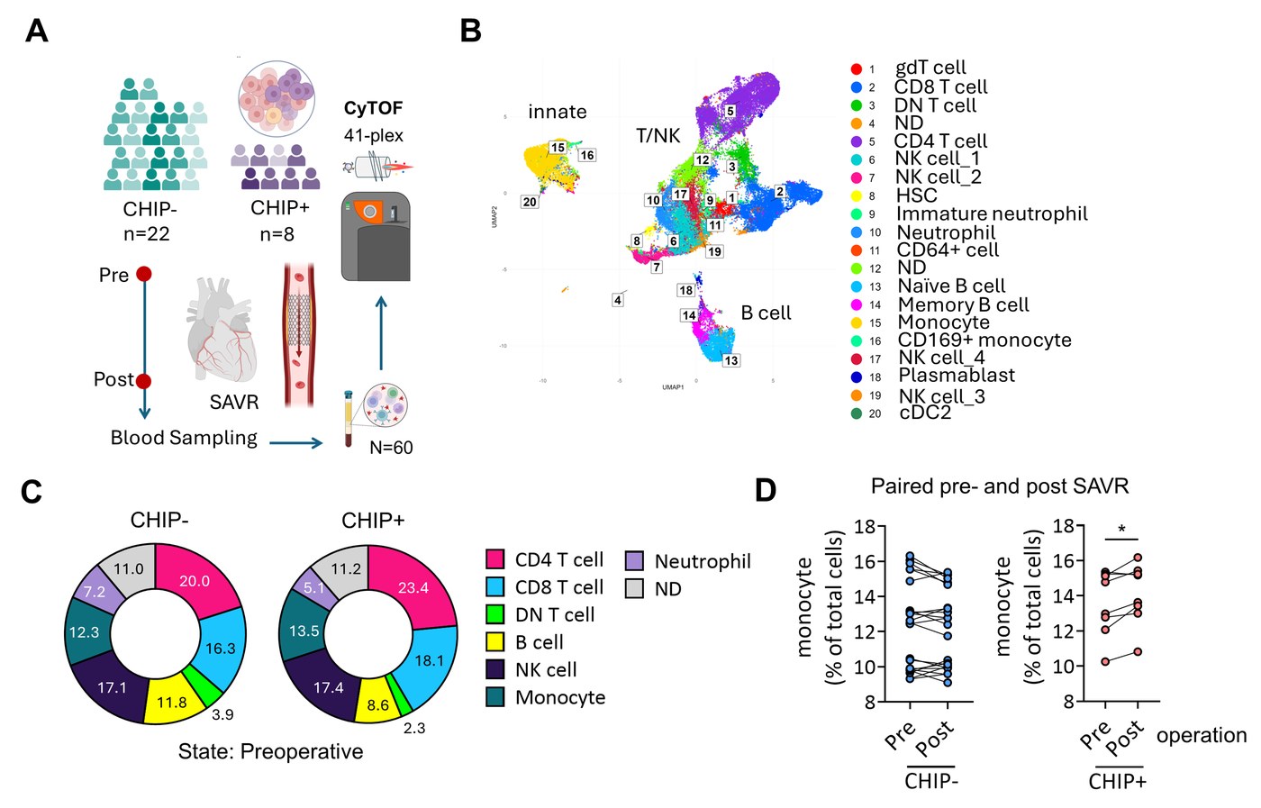 Patient cohort single-cell immune analysis workflow - UMAP classification of innate/T·NK/B cells