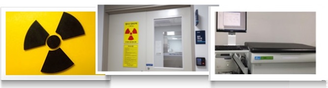 Interior view of the Radioisotope Laboratory