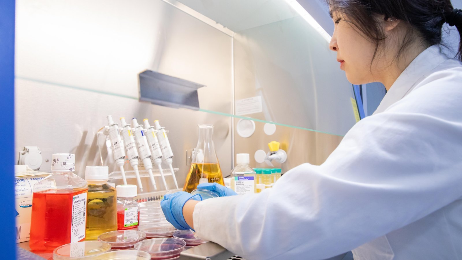 Dispensing media into petri dishes inside the biological safety cabinet