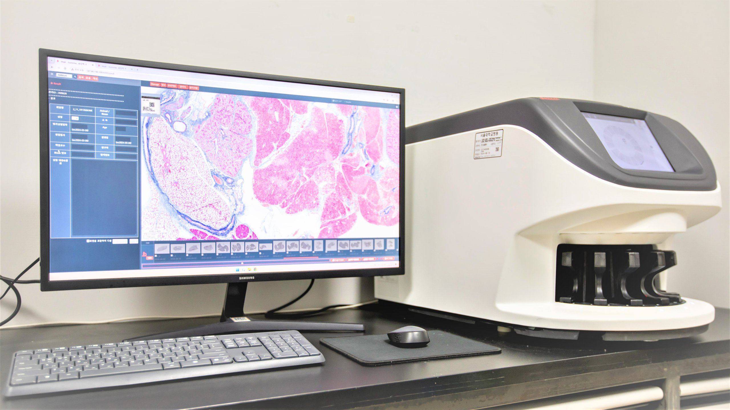 Slide scanning