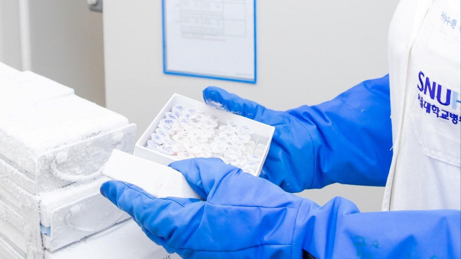 A researcher in an SNUH gown and blue gloves handling a cryo vial storage box during specimen management
