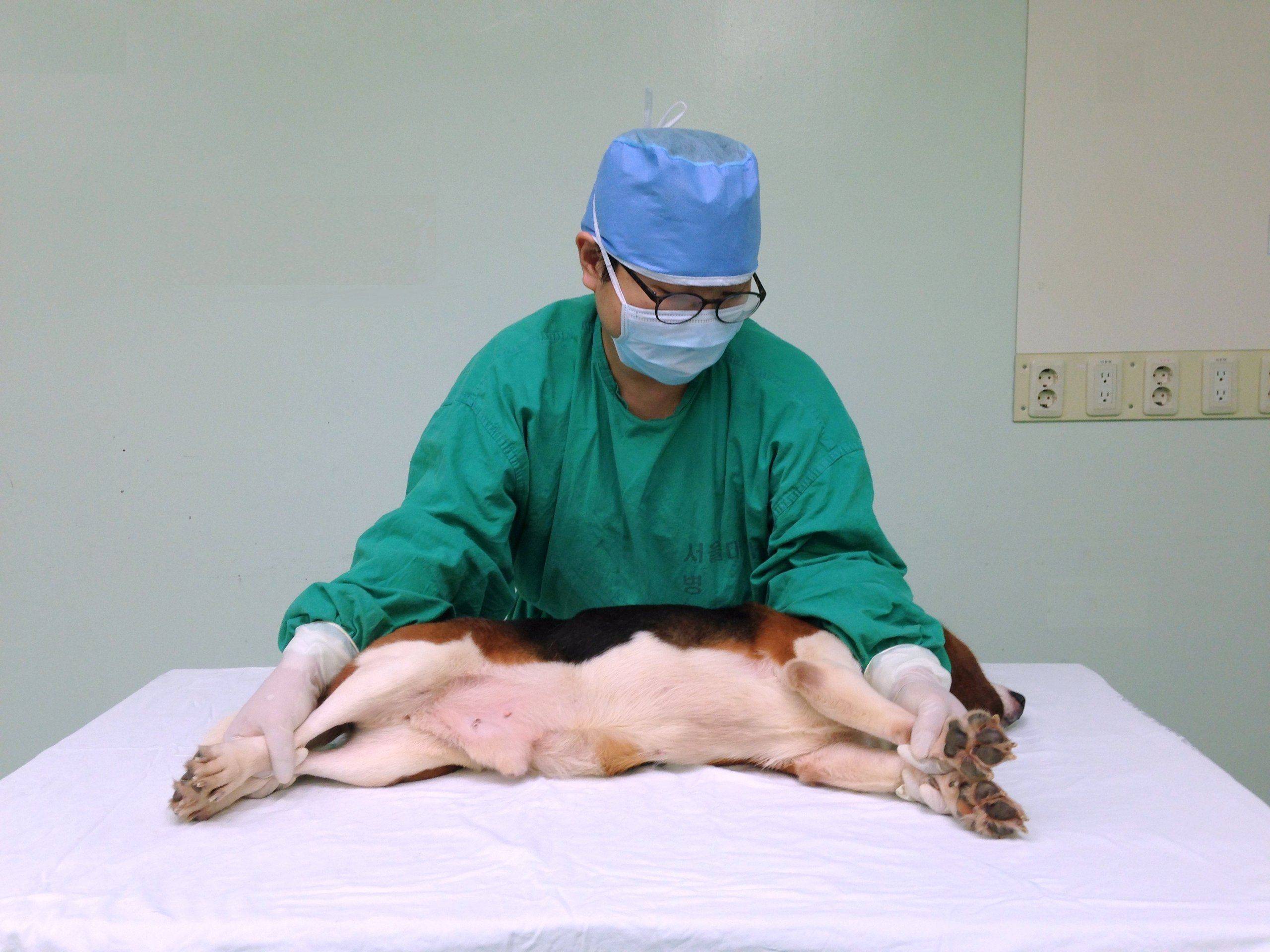 Lateral recumbency