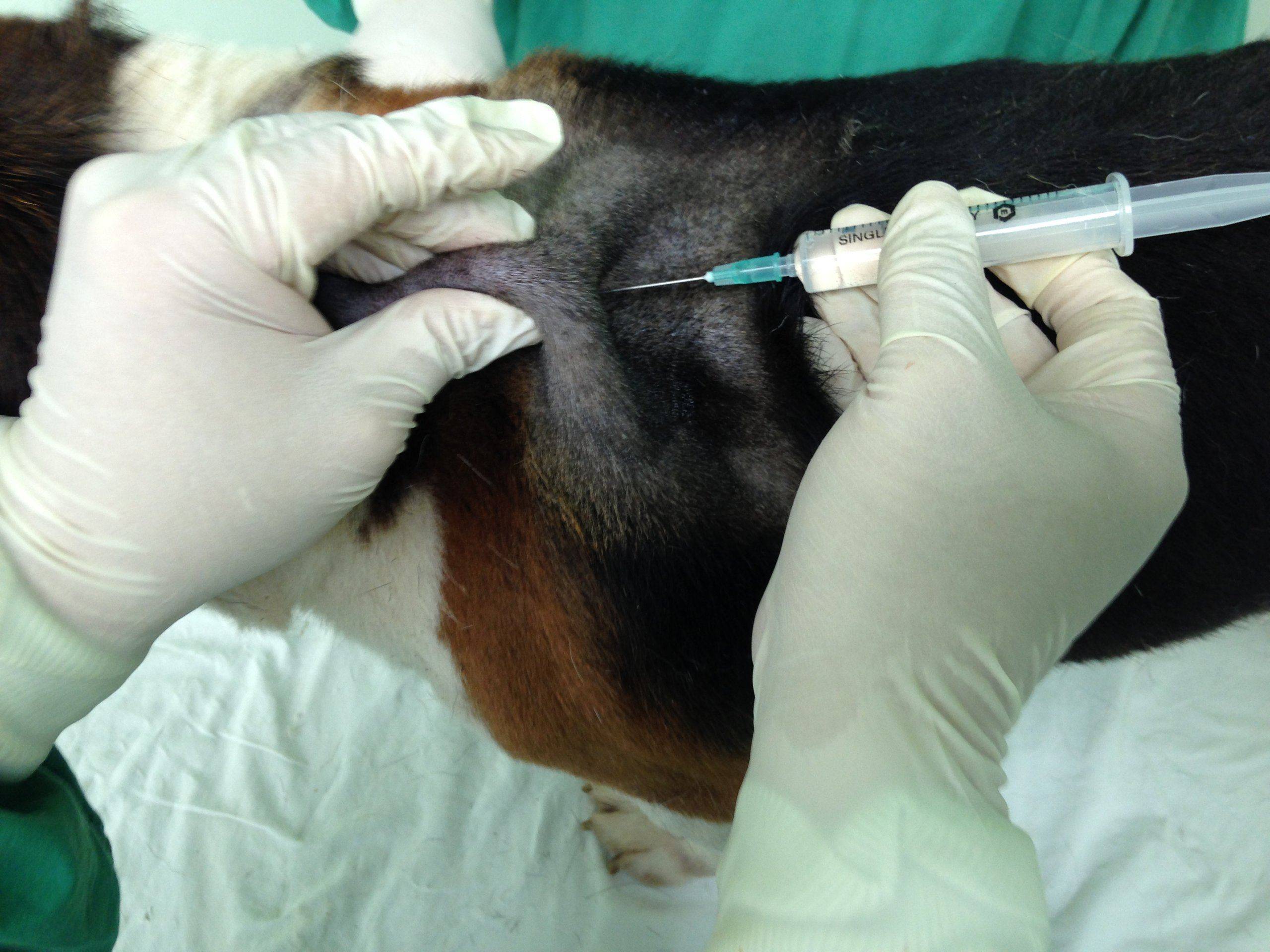 Subcutaneous injection