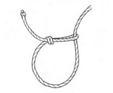 Knot technique for pig restraint